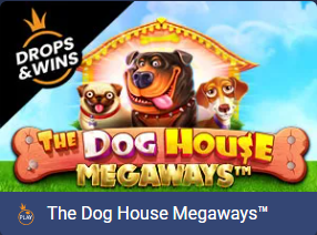 The Dog House Megaways — promo grafika